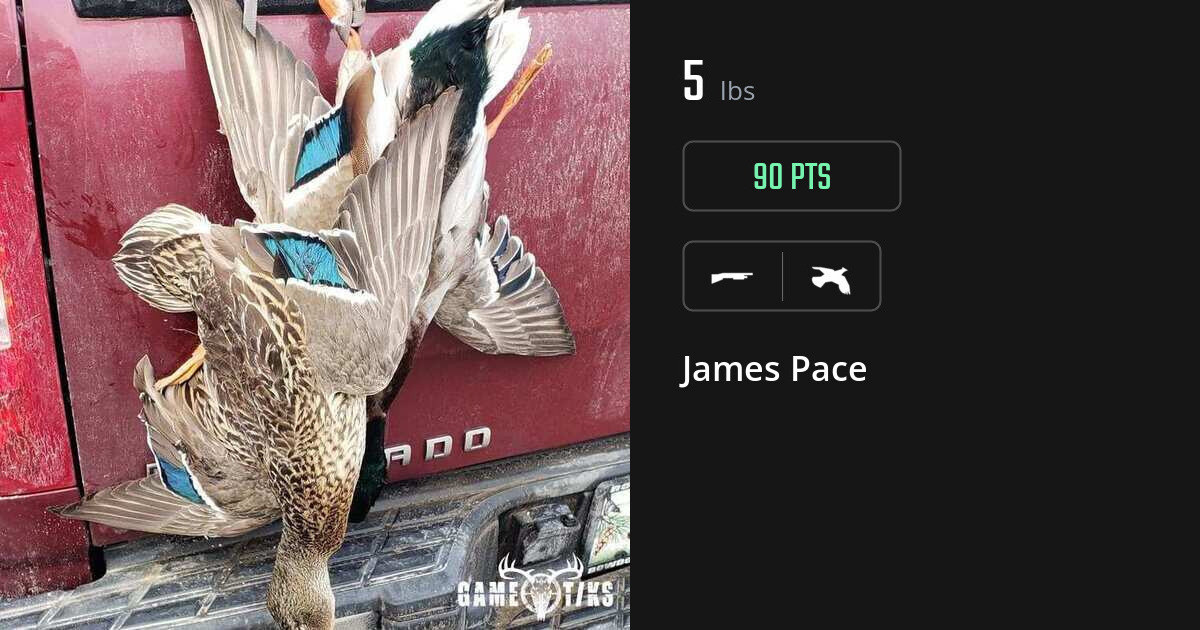 Upland bird harvest on Gametiks