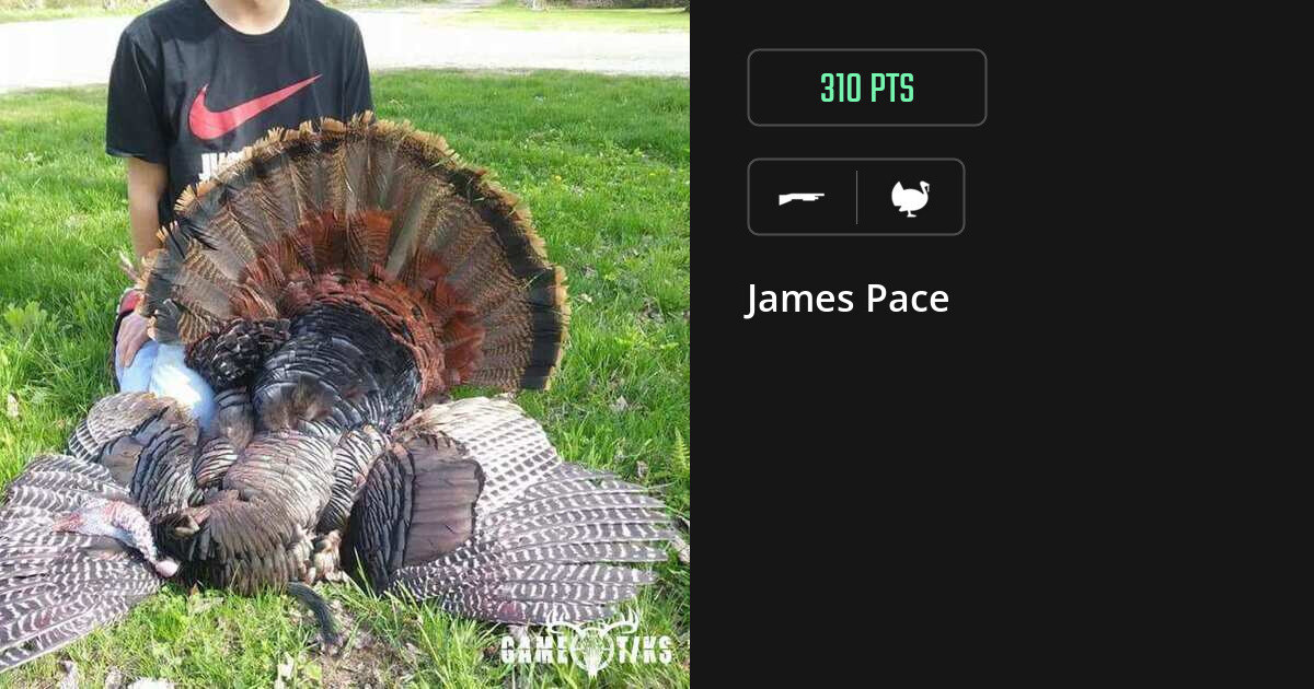 Turkey harvest on Gametiks