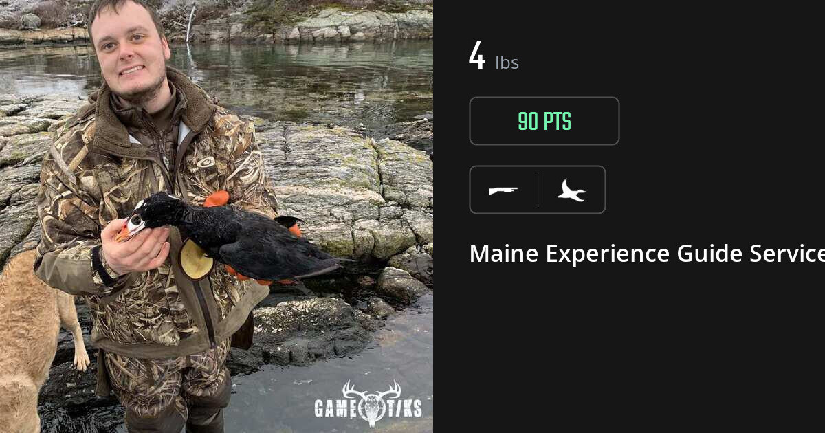 Waterfowl harvest on Gametiks