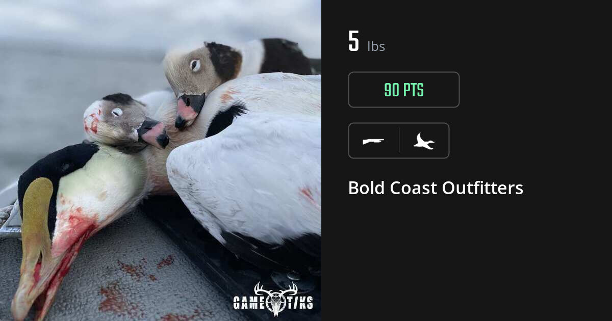 Waterfowl harvest on Gametiks
