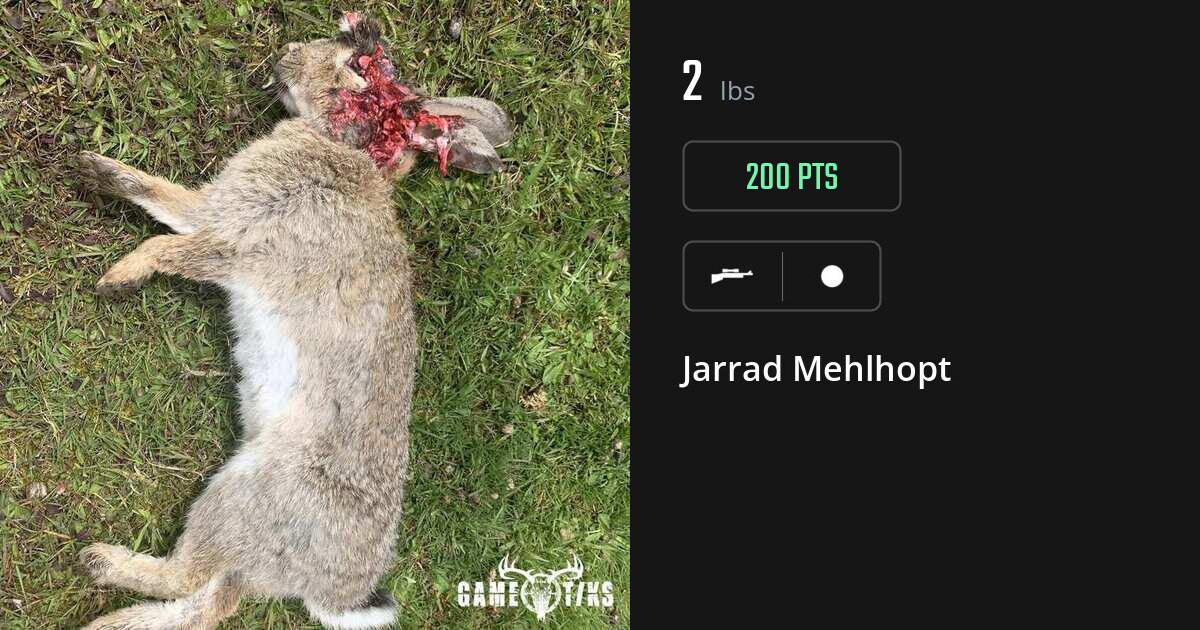 Miscellaneous harvest on Gametiks