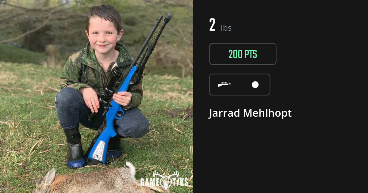 Miscellaneous harvest on Gametiks