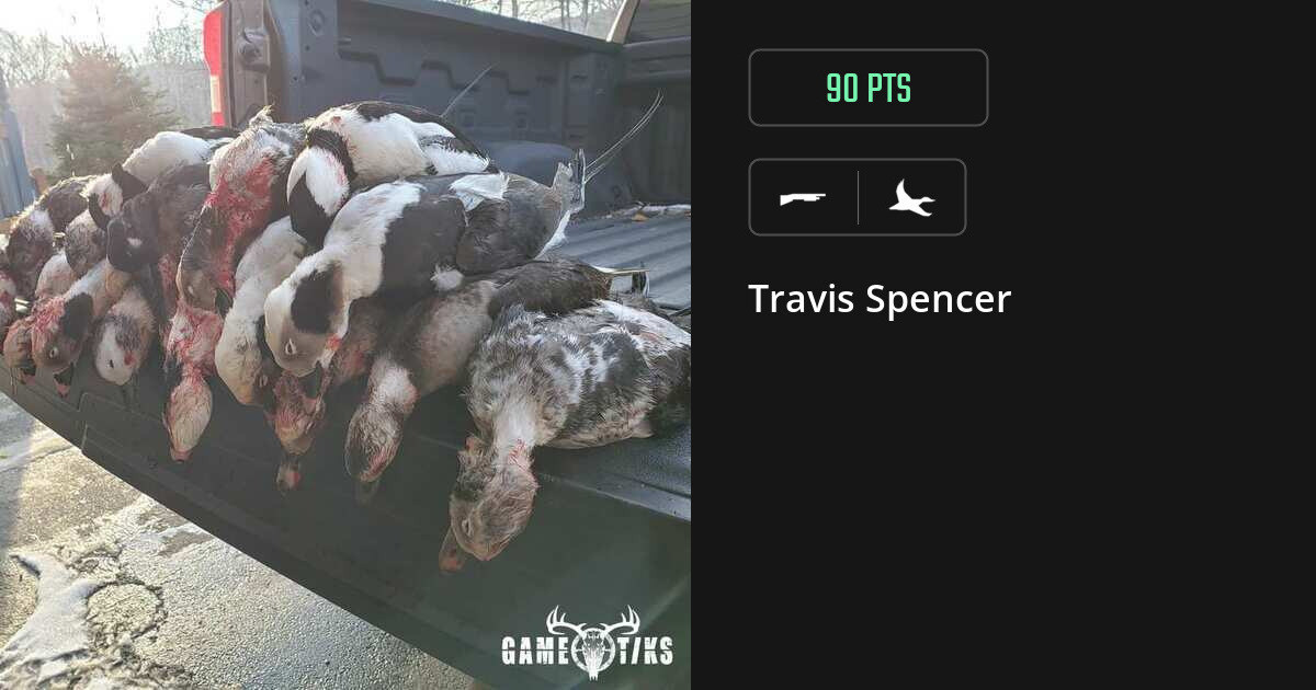 Waterfowl harvest on Gametiks