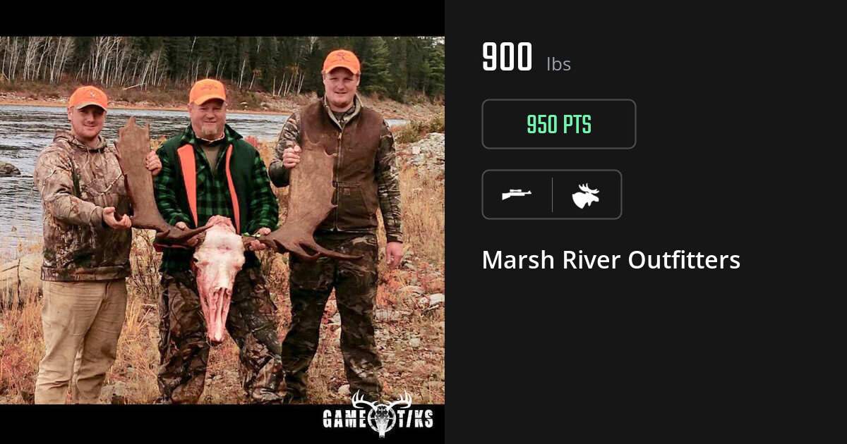 Moose harvest on Gametiks