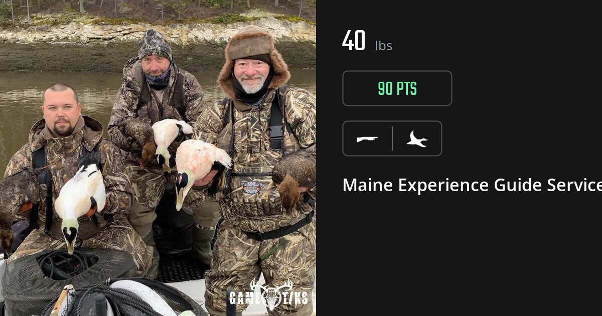 Waterfowl harvest on Gametiks