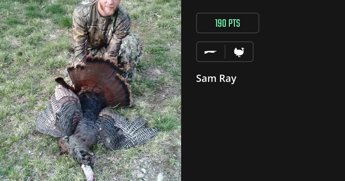 Turkey harvest on Gametiks