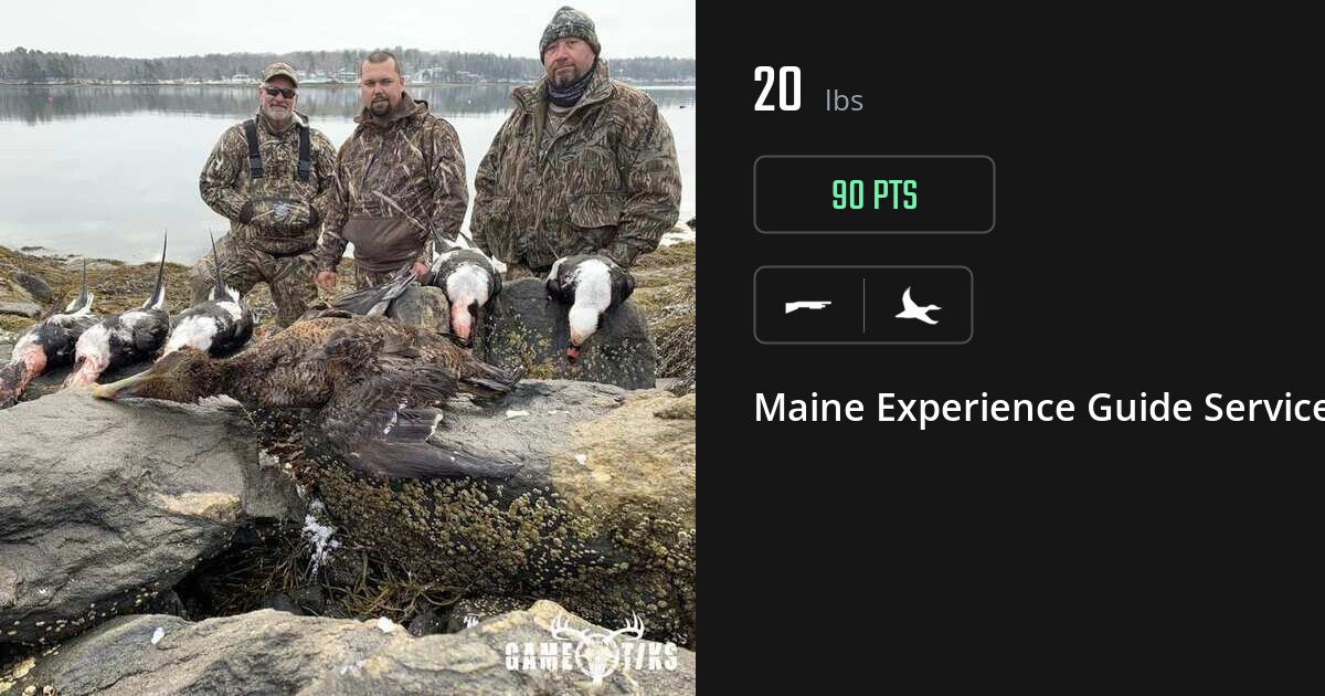 Waterfowl harvest on Gametiks