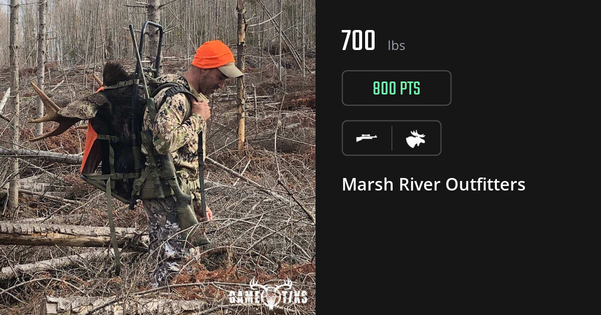 Moose harvest on Gametiks