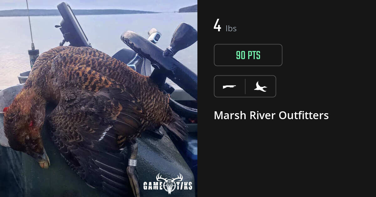Waterfowl harvest on Gametiks