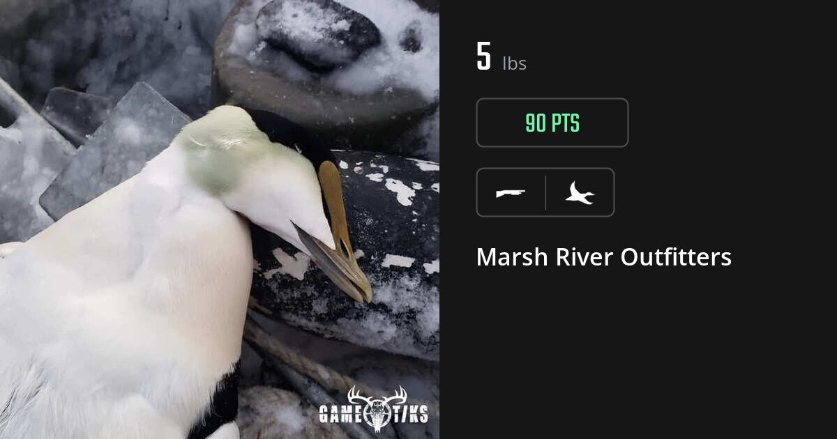 Waterfowl harvest on Gametiks