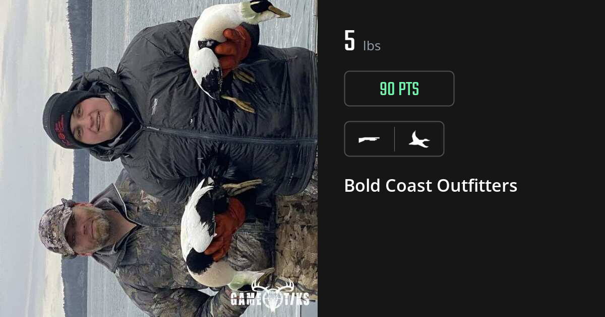 waterfowl harvest by Bold Coast Outfitters