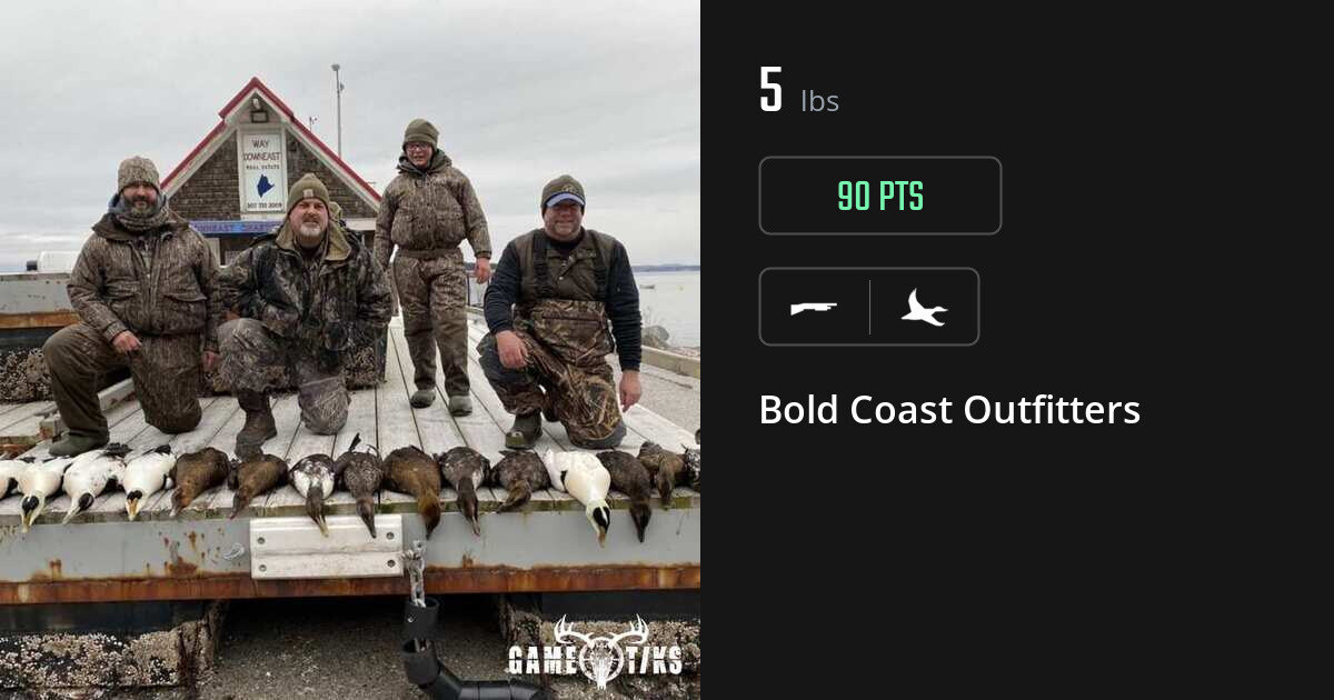 waterfowl harvest by Bold Coast Outfitters