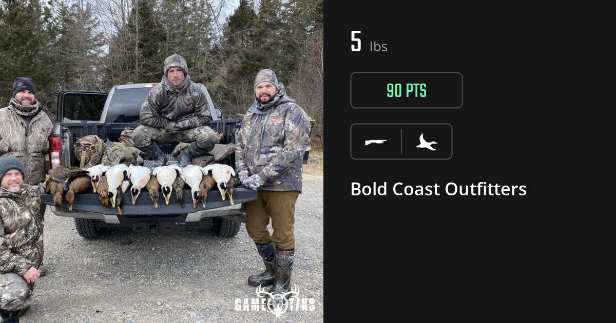 waterfowl harvest by Bold Coast Outfitters