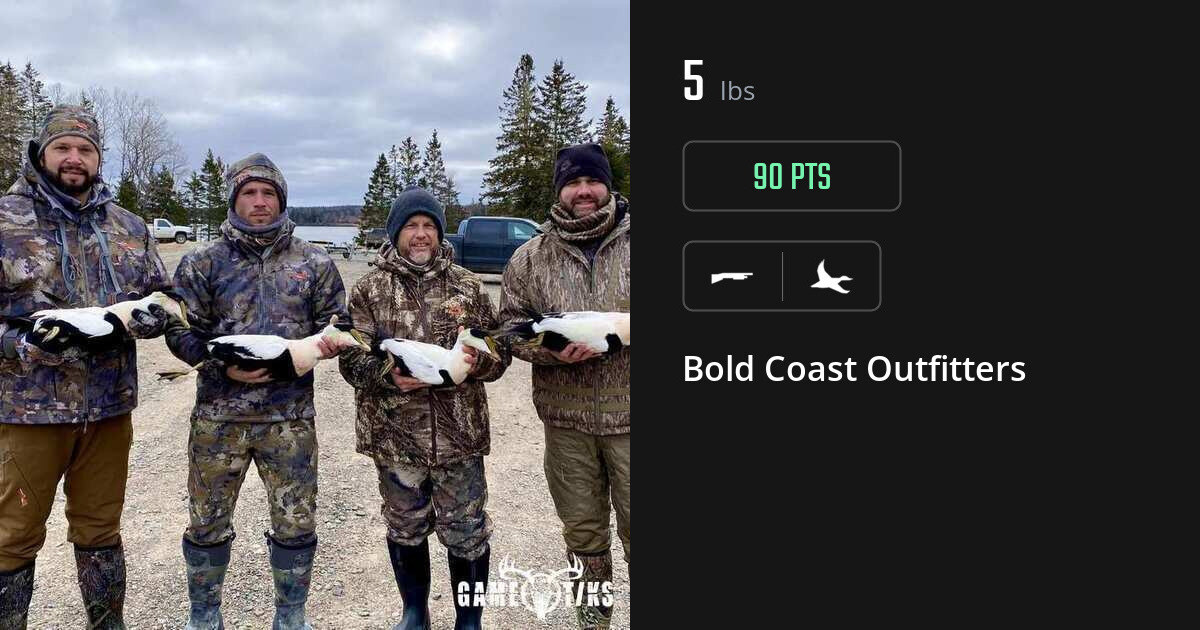 waterfowl harvest by Bold Coast Outfitters