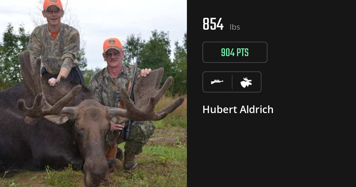 moose harvest by Hubert Aldrich