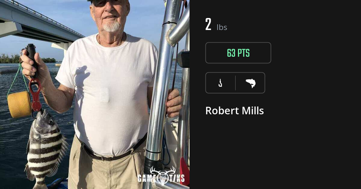 saltwater_fish harvest by Robert Mills