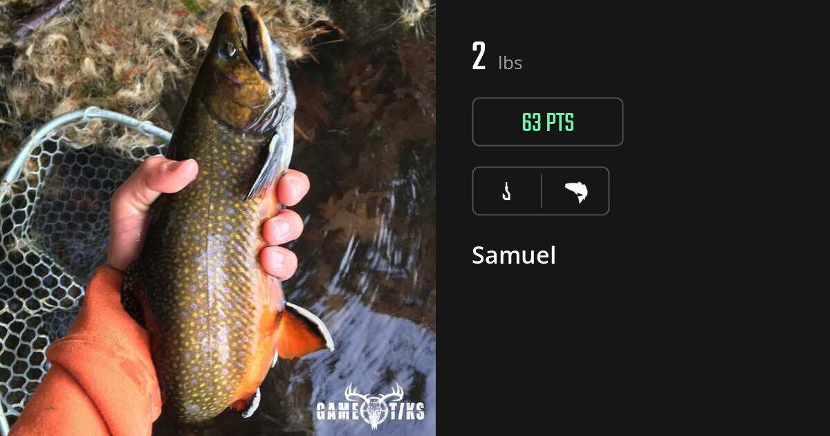 Saltwater fish harvest on Gametiks