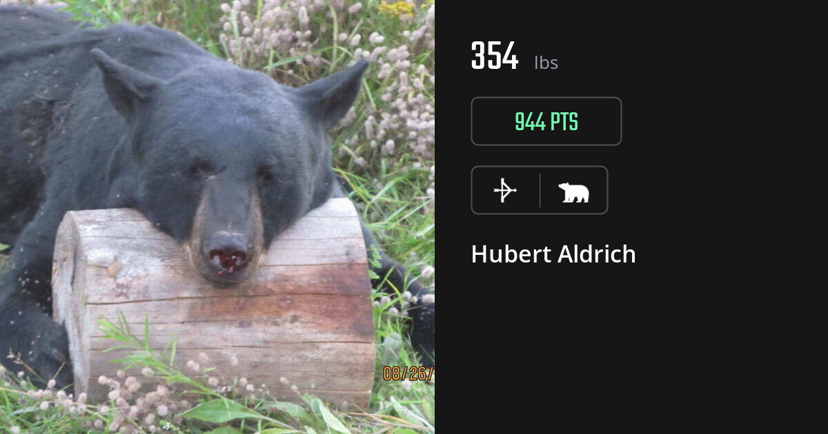 bear harvest by Hubert Aldrich