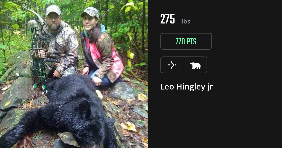 Bear harvest on Gametiks