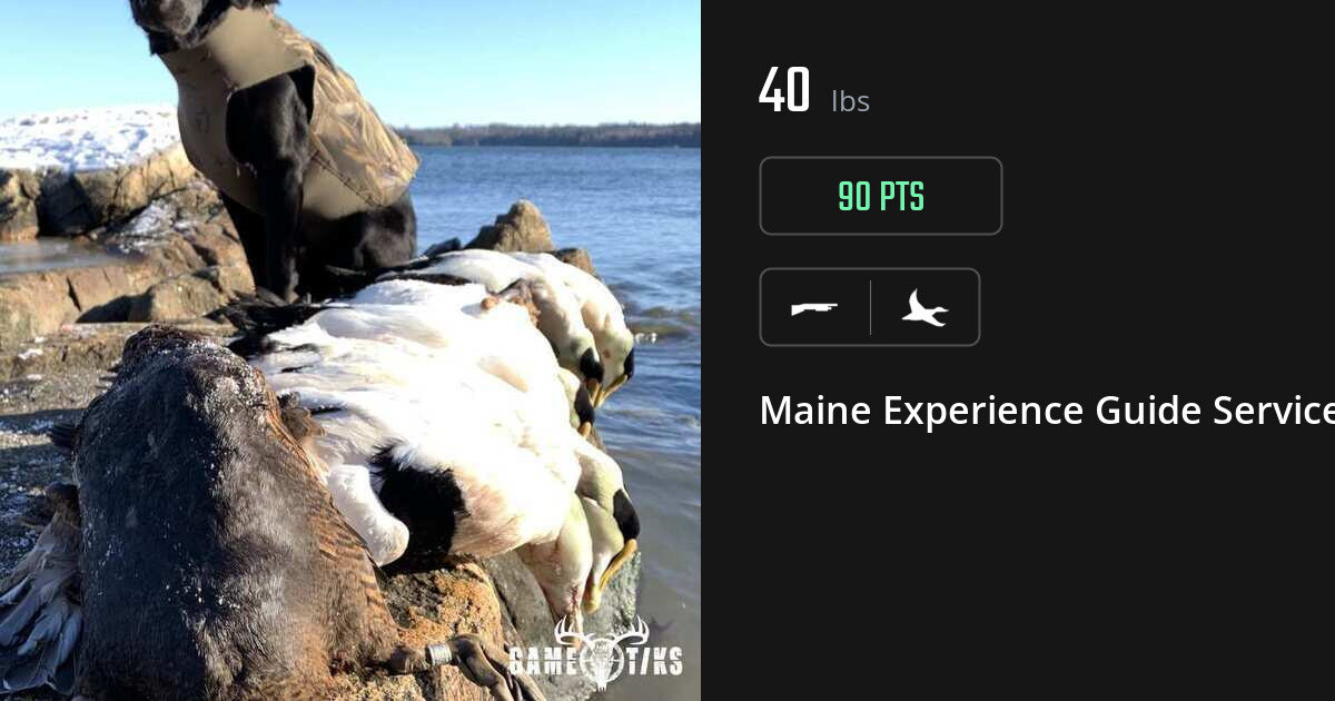 Waterfowl harvest on Gametiks