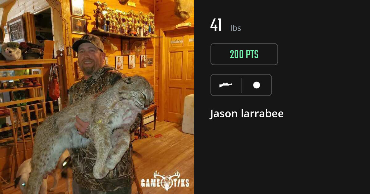 miscellaneous harvest by Jason larrabee