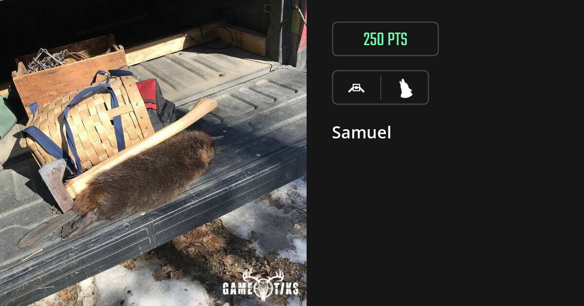 canine harvest by Samuel