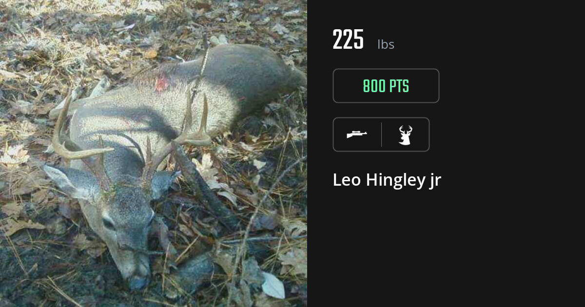 deer harvest by Leo Hingley jr