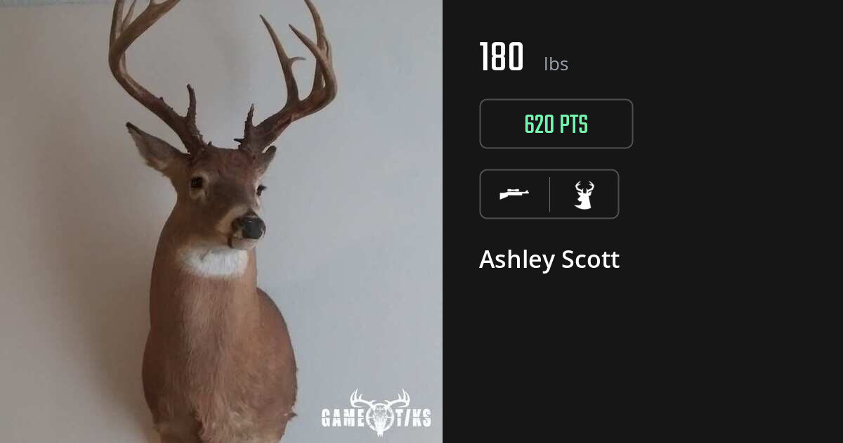 deer harvest by Ashley Scott