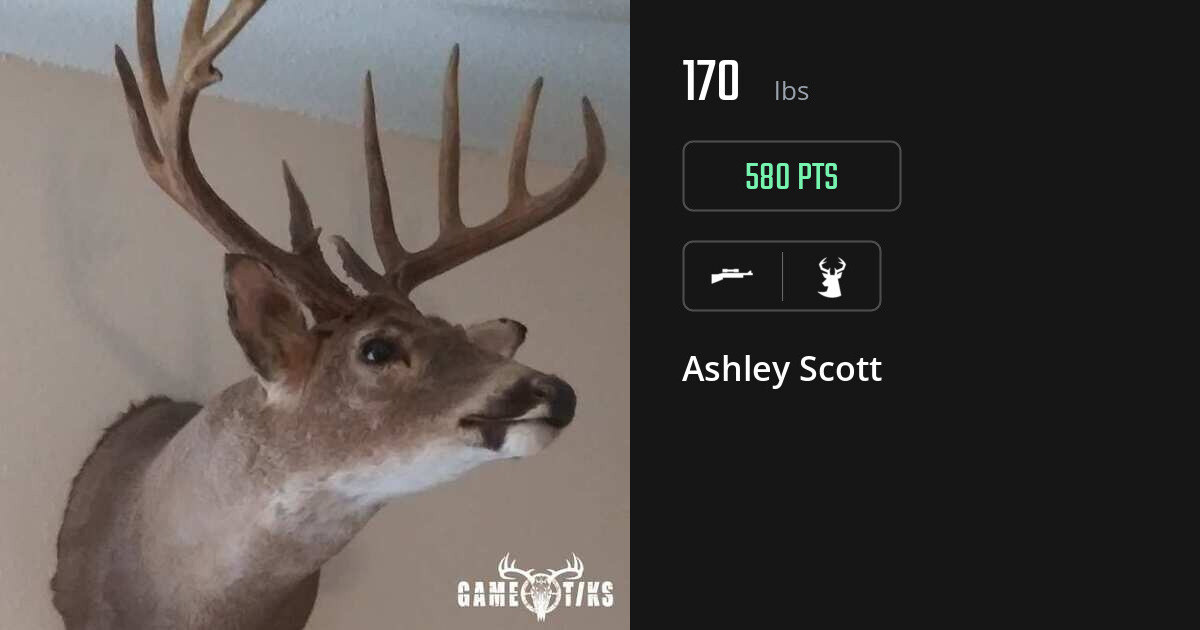 deer harvest by Ashley Scott