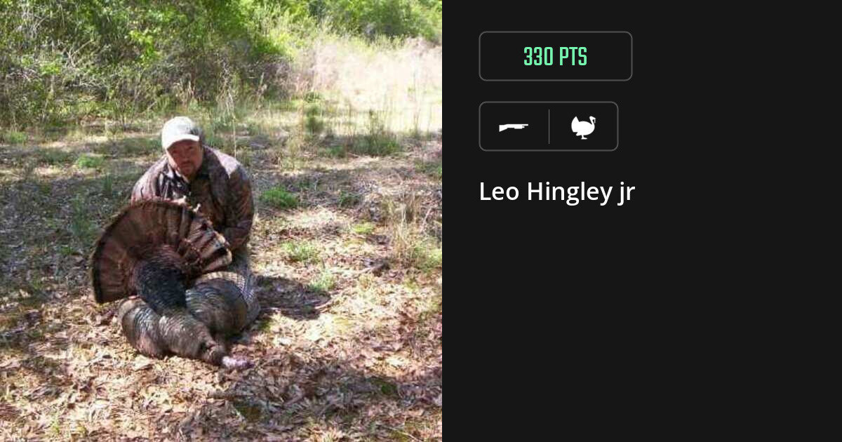 turkey harvest by Leo Hingley jr