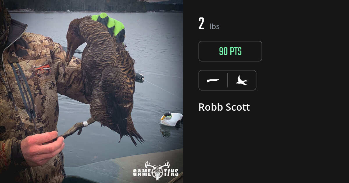 waterfowl harvest by Robb Scott