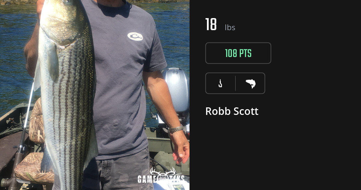 saltwater_fish harvest by Robb Scott
