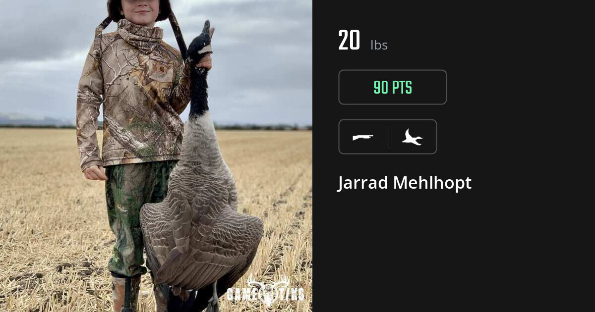 Waterfowl harvest on Gametiks