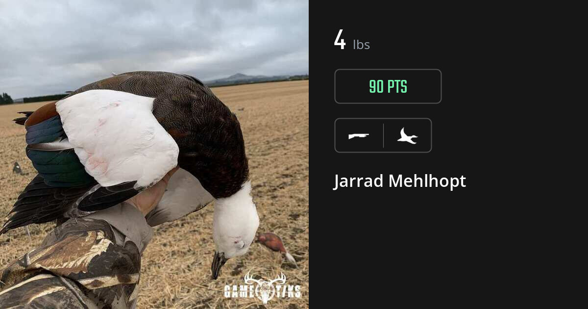 Waterfowl harvest on Gametiks