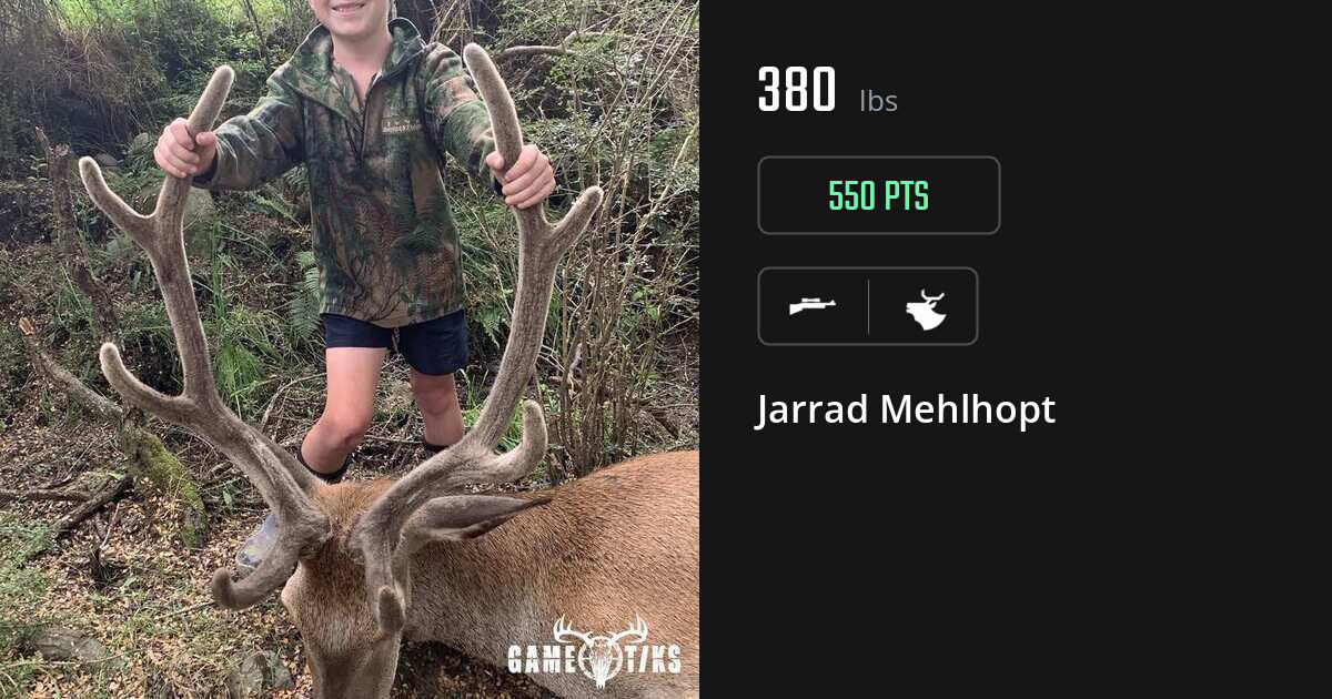 Elk harvest on Gametiks