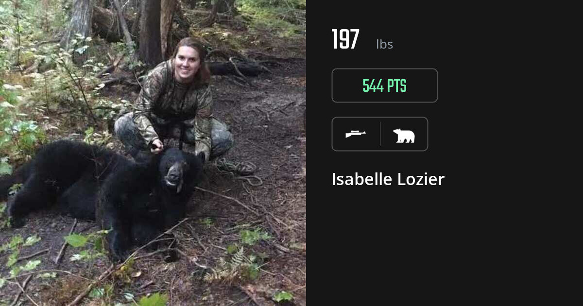 Bear harvest on Gametiks
