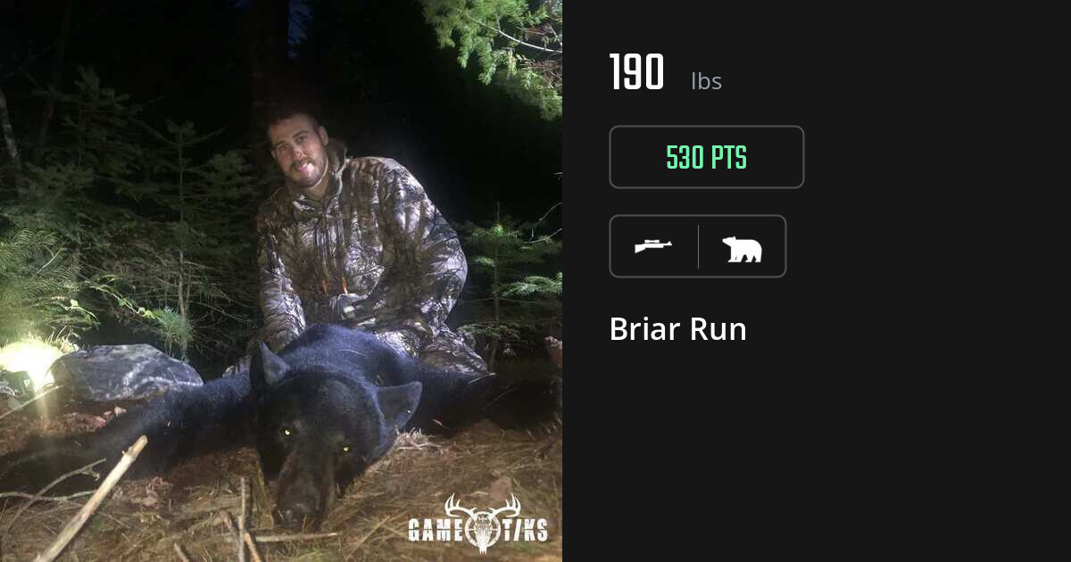 Bear harvest on Gametiks