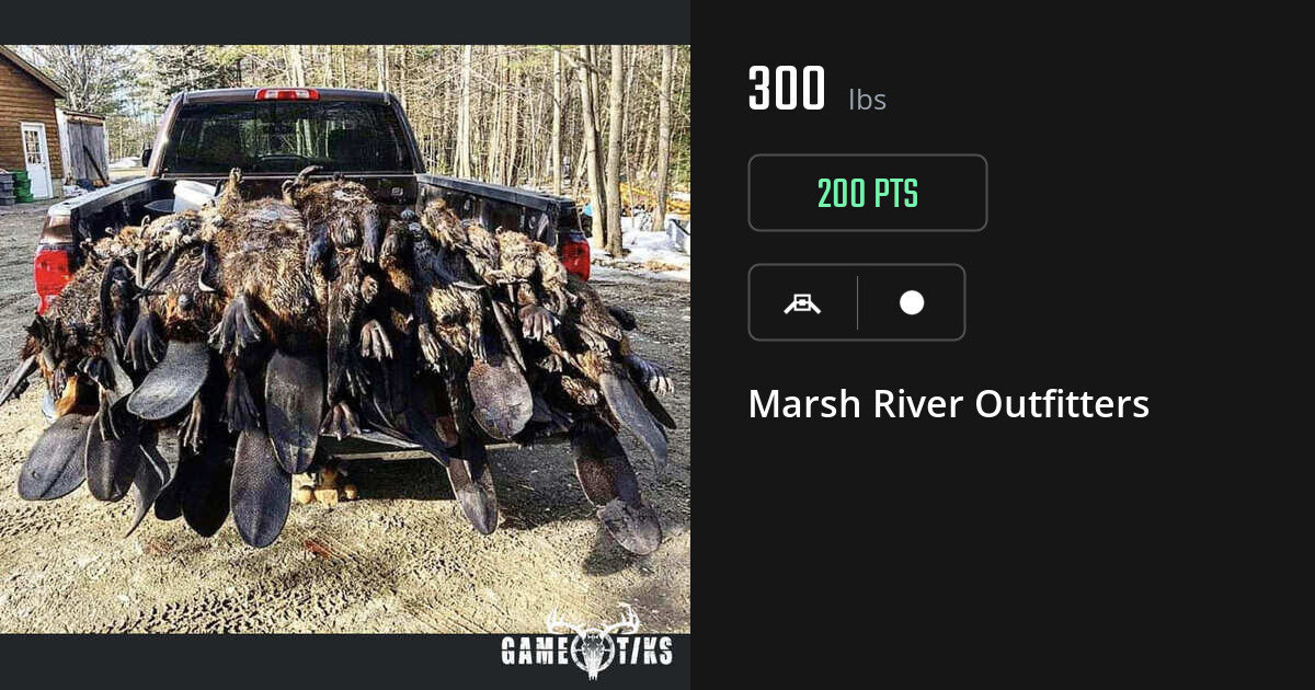 Miscellaneous harvest on Gametiks