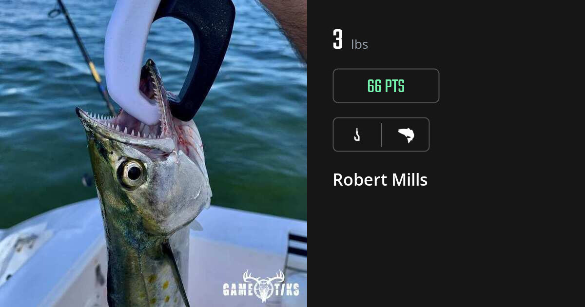 saltwater_fish harvest by Robert Mills