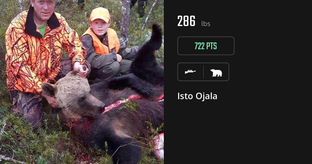 Bear harvest on Gametiks