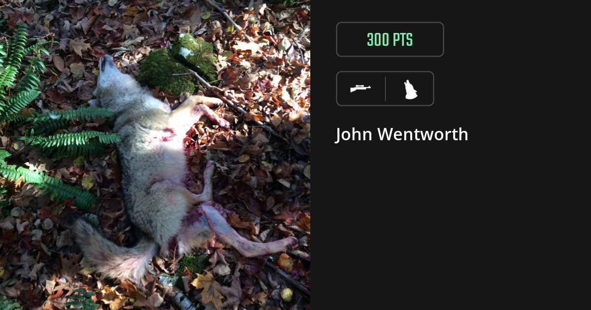 canine harvest by John Wentworth
