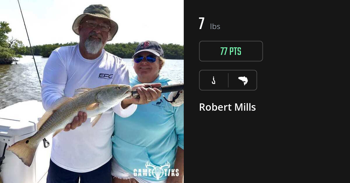saltwater_fish harvest by Robert Mills