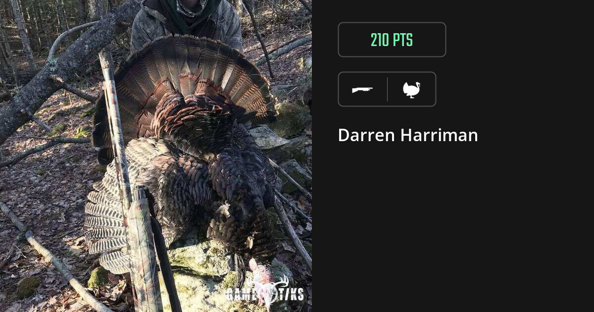 Turkey harvest on Gametiks