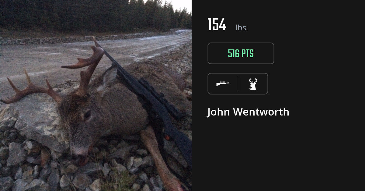 deer harvest by John Wentworth