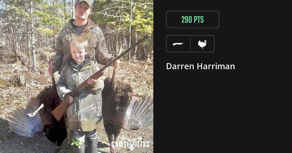 Turkey harvest on Gametiks