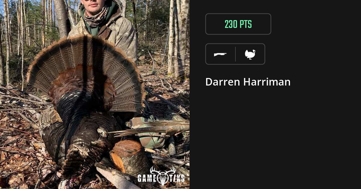Turkey harvest on Gametiks
