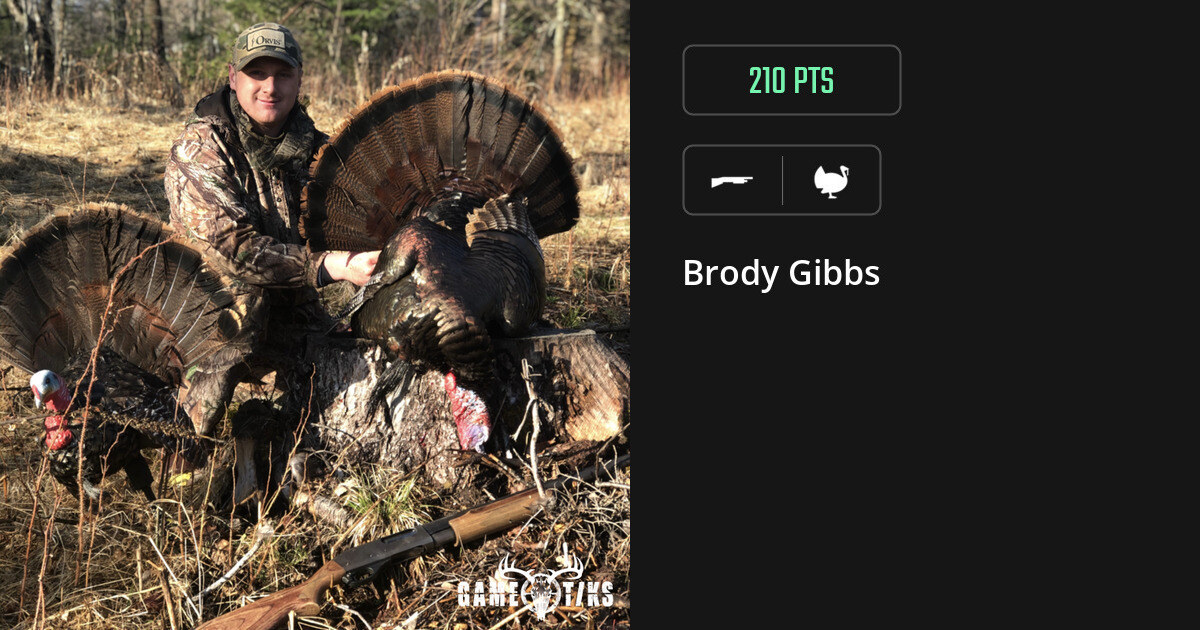 Turkey harvest on Gametiks
