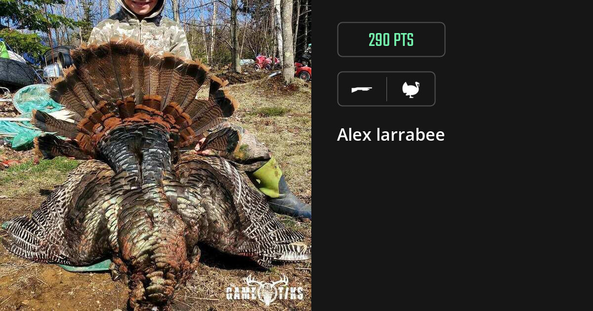 Turkey harvest on Gametiks