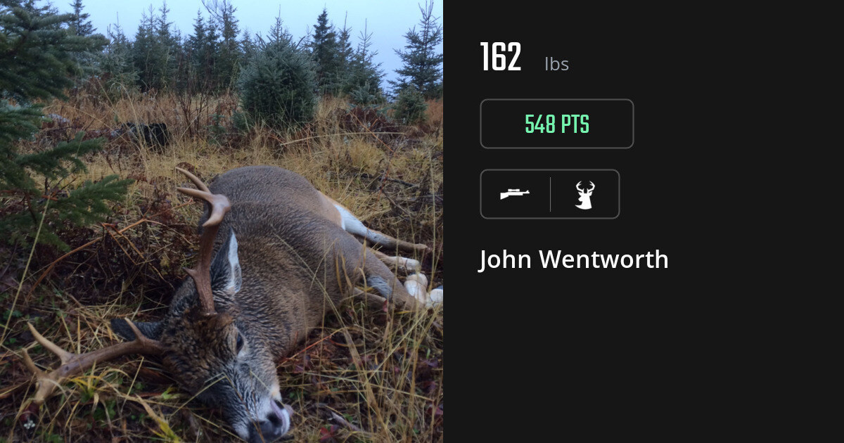 deer harvest by John Wentworth