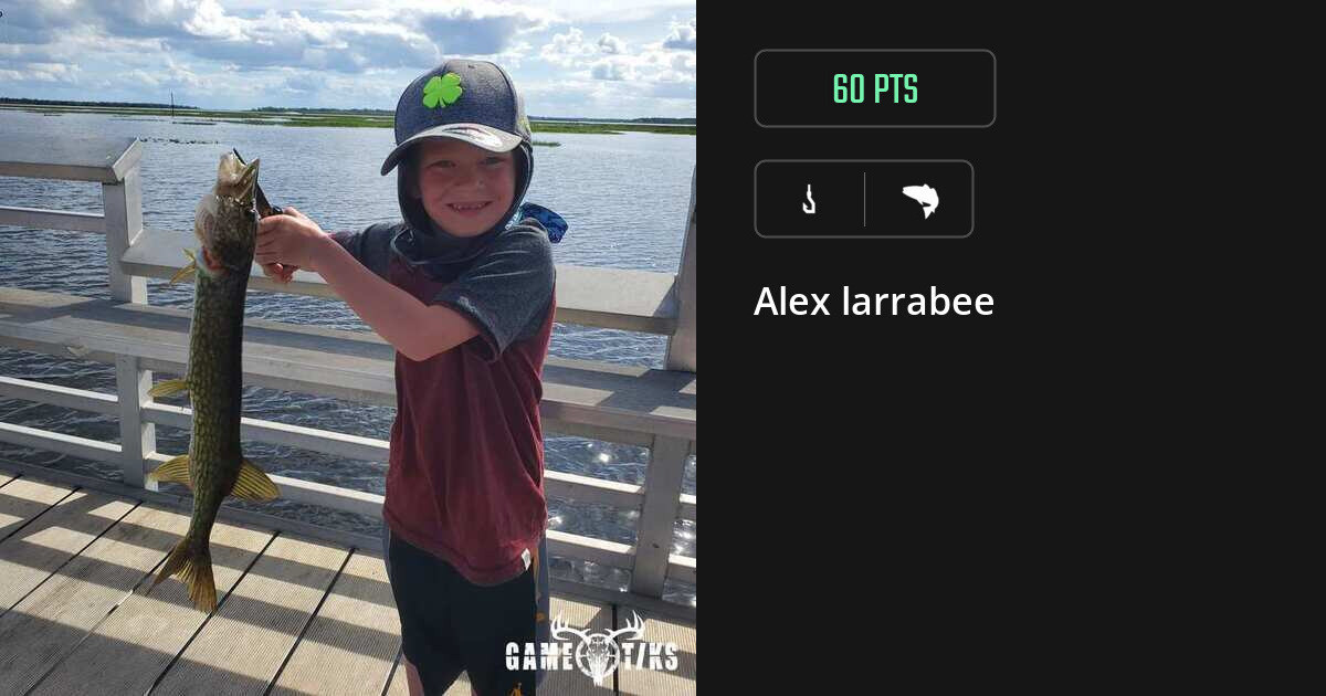 Saltwater fish harvest on Gametiks